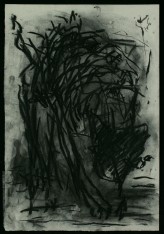 WALID EL MASRI_Cat_charcoal on paper 54x38 cm 2005